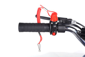 Miniquad blau