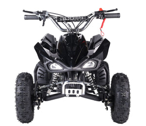Miniquad schwarz
