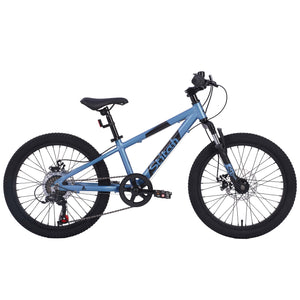 Mountainbike 20"" STRIVE