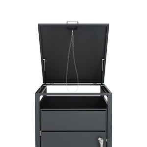 Mülltonnenbox Stahl 1 Fach 240L anthrazit