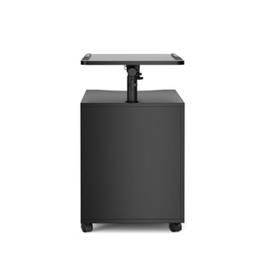 Nachttisch EIRA mit verstellbarer Tischplatte 50 x 90 cm schwarz