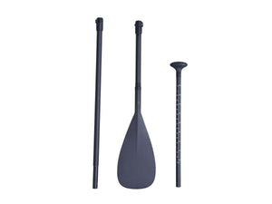 Paddel Carbon 100