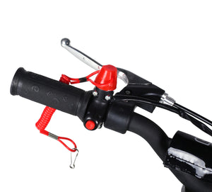Pocket Bike vert