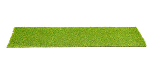 Kunstrasen Rolle (1x10m)
