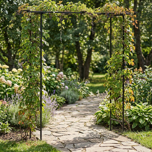 Rosenbogen Pergola 200 x 204 cm schwarz