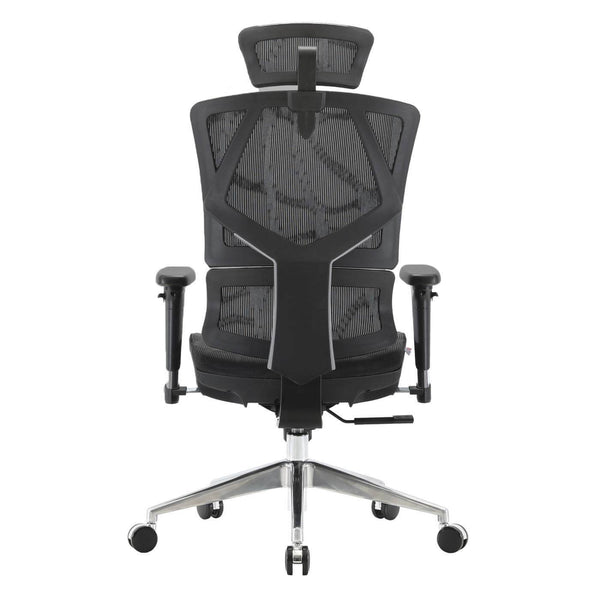 SIHOO Bürostuhl ergonomisch Lordosenstütze hohe Rückenlehne