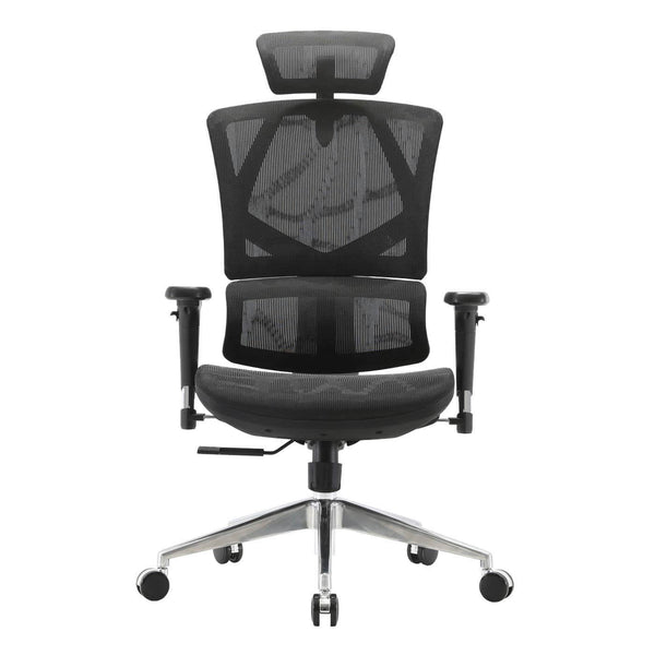SIHOO Bürostuhl ergonomisch Lordosenstütze hohe Rückenlehne