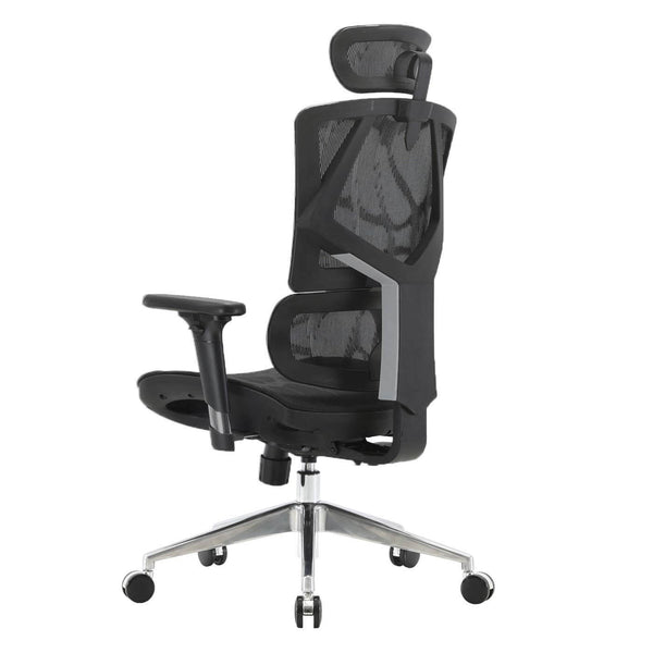 SIHOO Bürostuhl ergonomisch Lordosenstütze hohe Rückenlehne