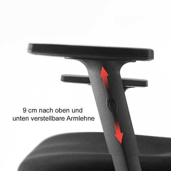 SIHOO Bürostuhl ergonomisch verstellbare Lordosenstütze und Armlehne