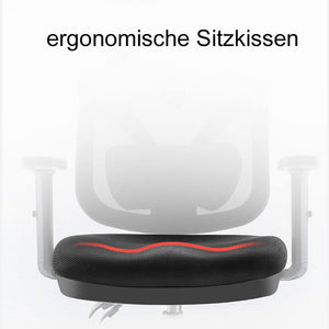 SIHOO Bürostuhl ergonomisch verstellbare Lordosenstütze und Armlehne