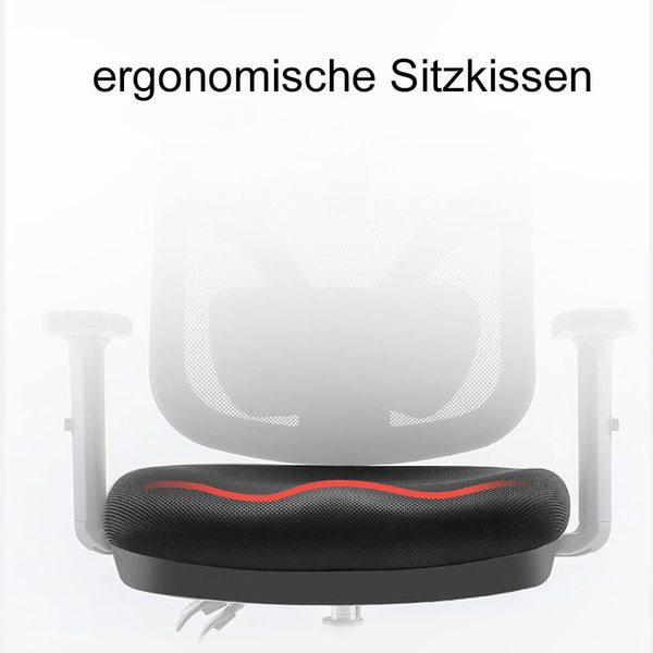 SIHOO Bürostuhl ergonomisch verstellbare Lordosenstütze und Armlehne