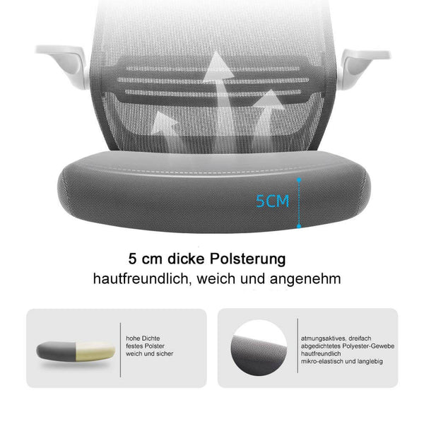 SIHOO ergonomischer Bürostuhl Taillenstütze anhebbare Armlehne