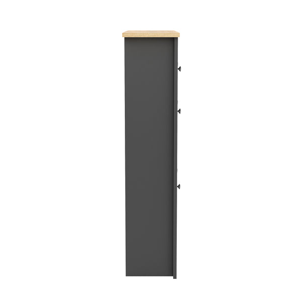 Schuhschrank ARLES 78 x 24 x 108 cm anthrazit