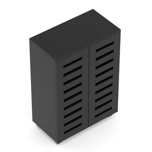 Schuhschrank EDDIE 60 x 33 x 87 cm schwarz
