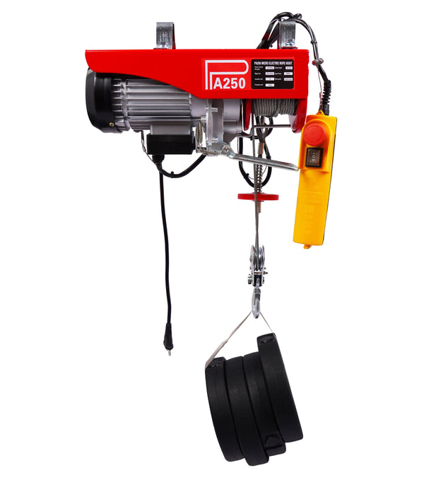 Seilhebezug elektrisch 250 kg
