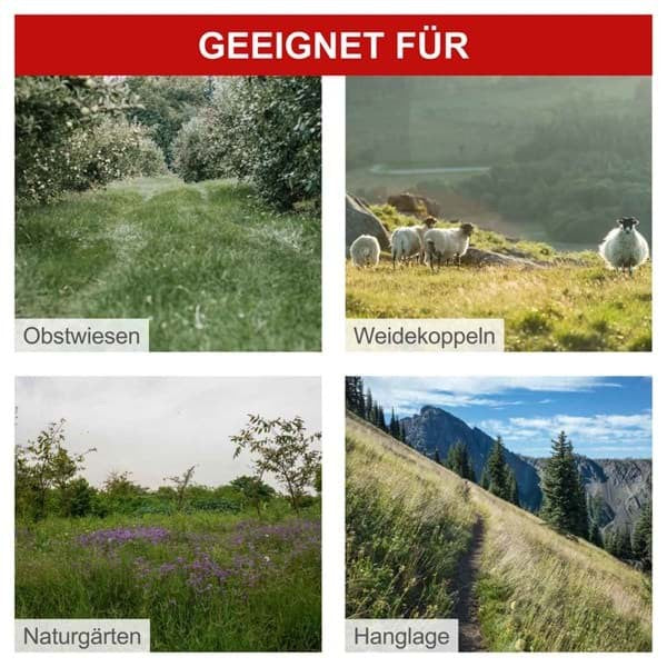 Scheppach - Benzin Balkenmäher BMS196-88 Scheppach - Schnittbreite/höhe 880mm / 30-60mm, 5,7PS
