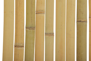 Recinzione per la privacy in bambù 500 x 150 cm