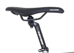 Fixie Bike 54 cm Urban Silver
