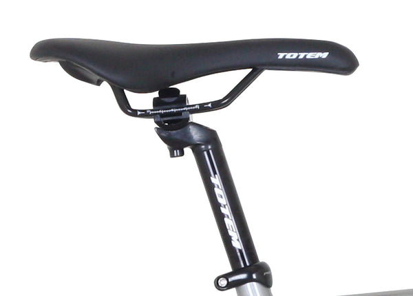 Fixie Bike 54 cm Urban Silver