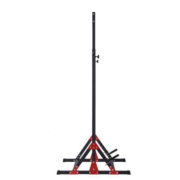 Stationäre Klimmzugstange mit Dip Station KRONOS 150 kg