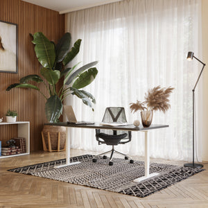 Electric standing desk, black/white, 160 x 80 cm