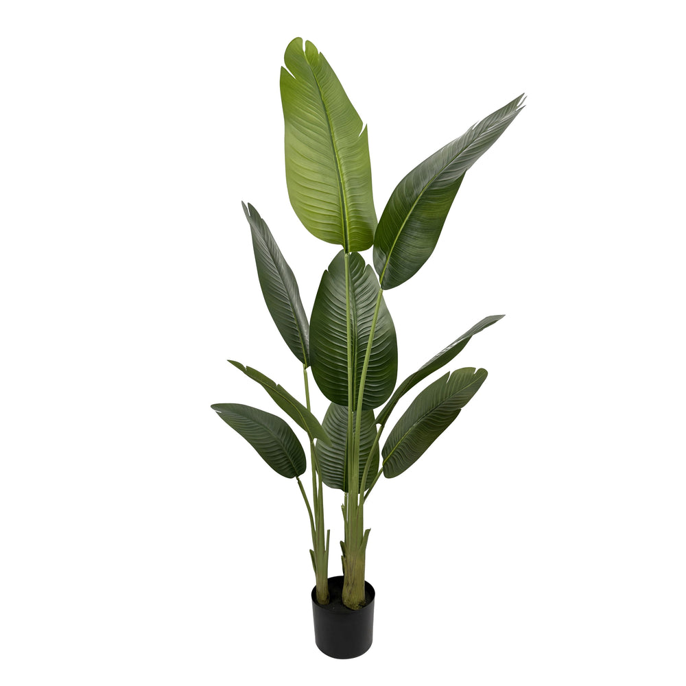 Strelitzie künstlich 160 cm