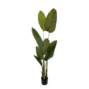Strelitzie künstlich mit Topf 180 cm