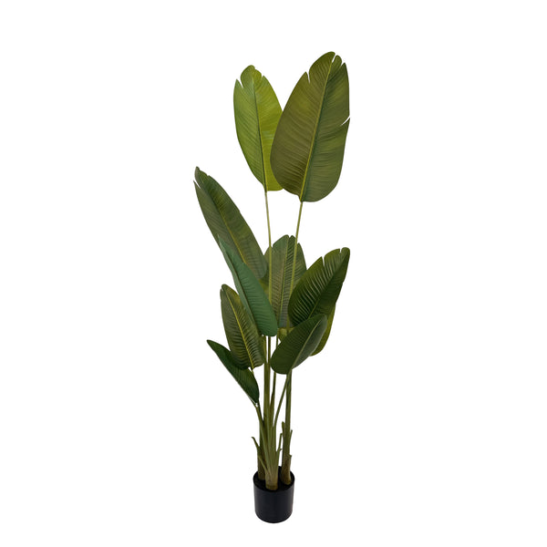 Strelitzie künstlich mit Topf 180 cm