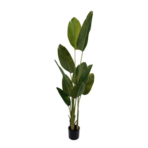 Strelitzie künstlich mit Topf 180 cm