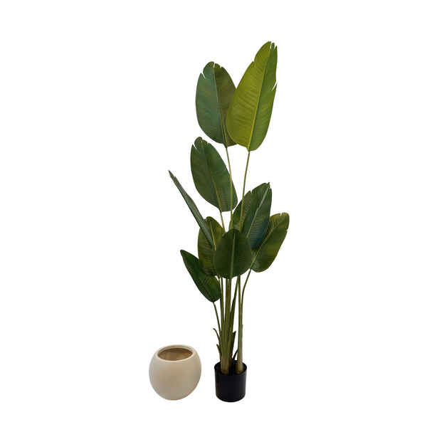 Strelitzie künstlich mit Topf 180 cm
