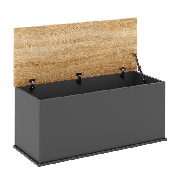 Truhe ARLES 100 x 40 x 47 cm anthrazit