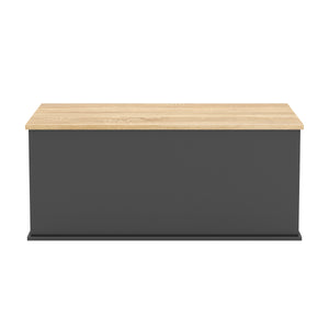 Truhe ARLES 100 x 40 x 47 cm anthrazit