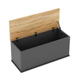 Truhe ARLES 100 x 40 x 47 cm anthrazit
