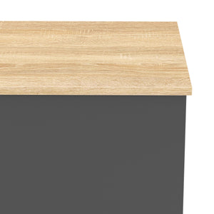 Truhe ARLES 100 x 40 x 47 cm anthrazit