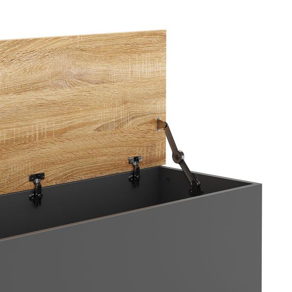 Truhe ARLES 100 x 40 x 47 cm anthrazit