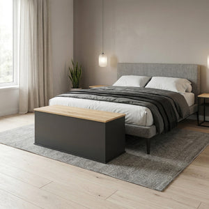 Truhe ARLES 100 x 40 x 47 cm anthrazit