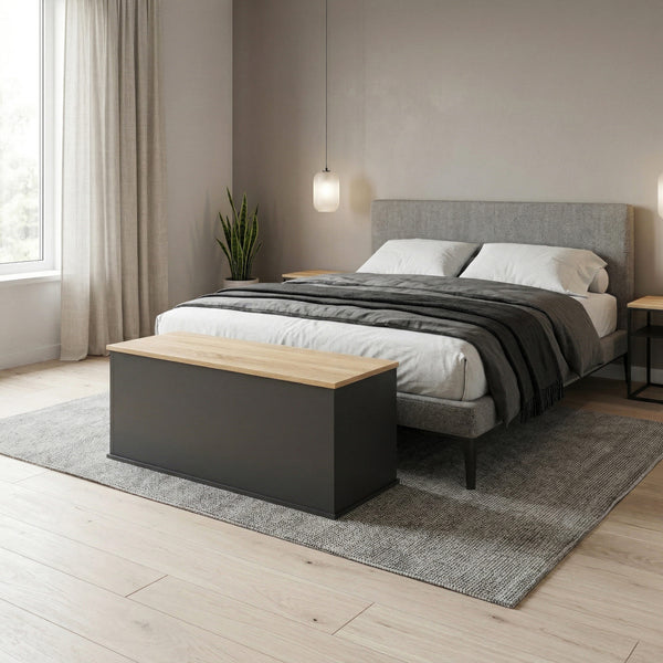 Truhe ARLES 100 x 40 x 47 cm anthrazit