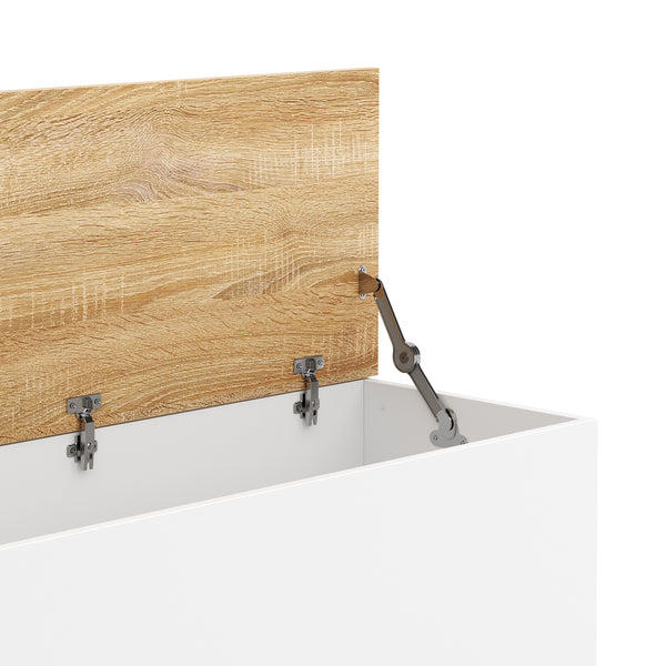 Truhe ARLES 100 x 40 x 47 cm weiss