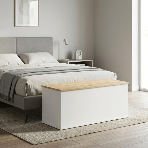 Truhe ARLES 100 x 40 x 47 cm weiss