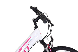 Mountainbike 26'' SOUL - Rahmen: 43cm