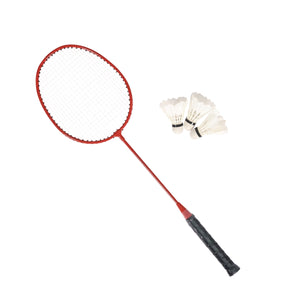 Volleyball und Badminton Set