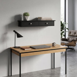 Wandregal TERESA 2 Schubladen 65 x 15 x 10 cm schwarz