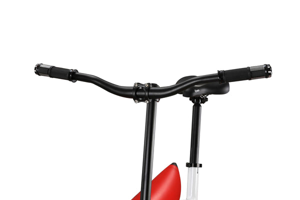 Wasserfahrrad Waterbike Tandem