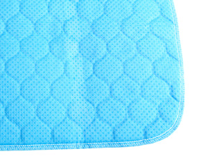 Welpen Trainingsunterlage wiederverwendbar 120 x 90 cm 2er Set creme/schwarz