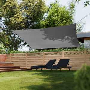 Pare-soleil gris clair 4 x 6 m 