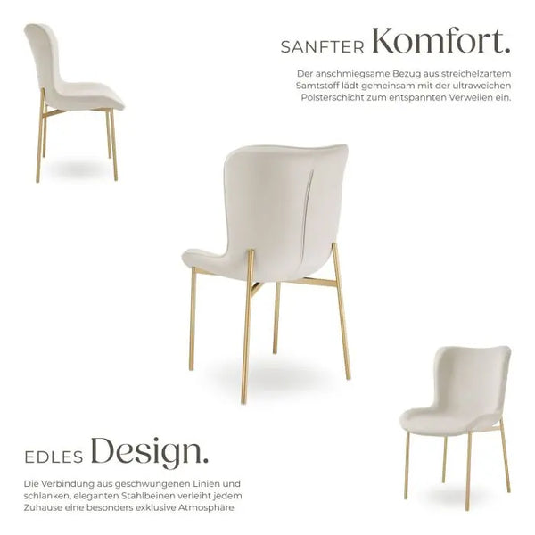 Polsterstuhl Tessa Samtoptik beige/gold Einzelstuhl
