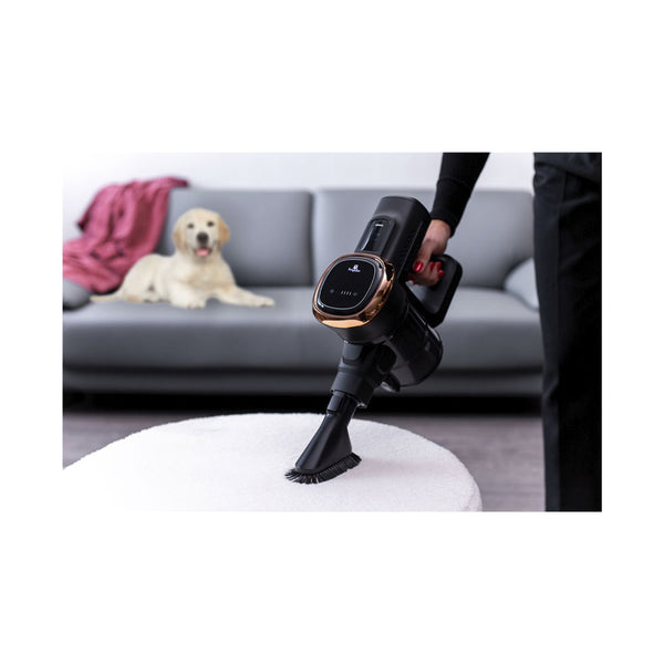 Aspirateur sans fil Berlinger Haus Collection Rose Noire