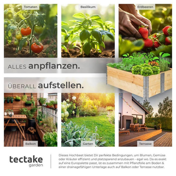 Hochbeet 2