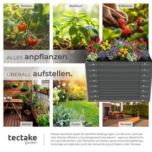 Hochbeet Salvia