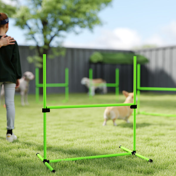 Agility Set für Hunde höhenverstellbar mit 4 Hürden und Tragetasche